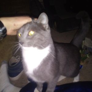 Meet your Posher, Candy